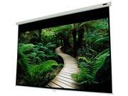 84x84in Manual Projection Screen
