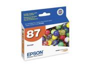 EPSON T087920 Ink Cartridge Orange