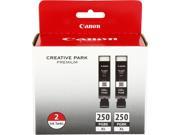 Canon PGI 250 PGBK XL High Yield Ink Cartrdige 2 Pack; 2 Black 6432B004