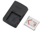 SONY ACCCSBN Accessory Kit for N Type Battery Cameras