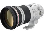 Canon EF 300mm f 2.8L IS II USM Telephoto Lens