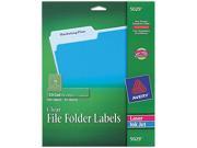 Avery 5029 Self Adhesive Filing Labels 1 3 Cut 2 3 x 3 7 16 Clear 450 Pack