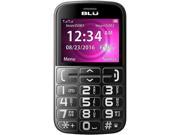 UPC 759776450228 product image for Blu Joy J010 32 MB 2G Unlocked GSM Senior Friendly Phone - (Certified Refurbishe | upcitemdb.com