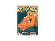 Pokemon Charizard!