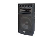 PYLE PADH1569 1000 Heavy Duty 2 Way Pa Loud speaker Cabinet Single