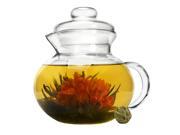 Primula PTA3940 Handblown Glass Tea Pot with Loose Tea Infuser