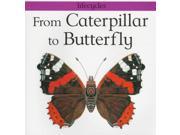 From Caterpillar to Butterfly Lifecycles