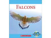 Falcons Nature s Children