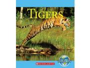 Tigers Nature s Children
