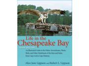 Life in the Chesapeake Bay 3
