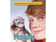 Ferrets Understanding and Caring for Your Pet