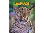 Leopards Heinemann InfoSearch