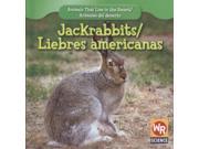 Jackrabbits Liebres Americanas Animals That Live in the Desert Animales Del Desierto Bilingual