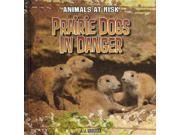 Prairie Dogs in Danger Animals at Risk