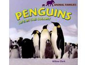 Penguins Animal Families