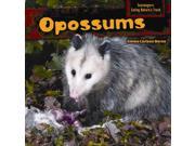 Opossums Scavengers Eating Nature s Trash