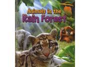 Animals in the Rain Forest Animals All Day! NOV