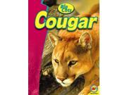 Cougar Big Cats
