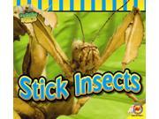 Stick Insects Fascinating Insects