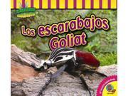 Los escarabajos Goliat Goliath Beetles Insectos Fascinantes