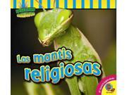 Las mantis religiosas The Praying Mantis Insectos Fascinantes