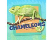 Get to Know Chameleons First Facts