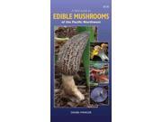 A Field Guide to Edible Mushrooms