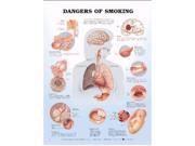 Dangers of Smoking Anatomical Chart LAM CHRT
