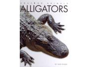 Alligators Amazing Animals