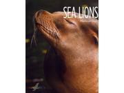 Sea Lions Living Wild