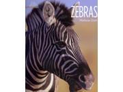 Zebras Living Wild