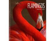Flamingos Living Wild