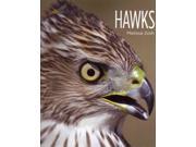 Hawks Living Wild