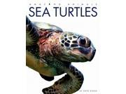 Sea Turtles Amazing Animals