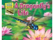 A Dragonfly s Life