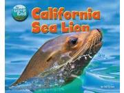 California Sea Lion Science Slam The Deep End Animal Life Underwater