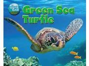 Green Sea Turtle Science Slam The Deep End Animal Life Underwater