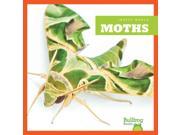 Moths Insect World
