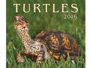 Turtles 2016 Calendar WAL