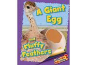A Giant Egg and Fluffy Feathers