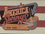 American Swings BOX MUL LT