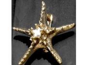 Mayer Mill Brass SRK 1 Starfish Door Knocker