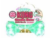 Kong Company Puppy Bone Small KP31