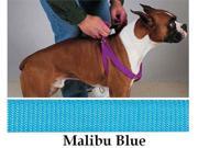Pet Pals TP807 09 62 Guardian Gear 2 Step Harness 9 15 Malibu Blue