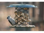 Whole Peanut in the Shell Feeder 10 1 2 dia x 8 high
