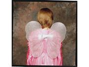 RG Costumes 65168 Fairy Wings Costume Pink Size Child