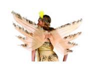 RG Costumes 65366 Eagle Wings With Feather Trim