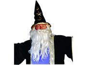 RG Costumes 65102 V Wizard Hat Purple