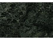 Woodland Scenics WS 164 Lichen Dark Green