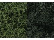 Woodland Scenics WS 168 Dark Green Lichen Mix